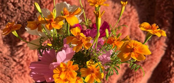 Close up shot of a bouquet of orange and pink flowers.
