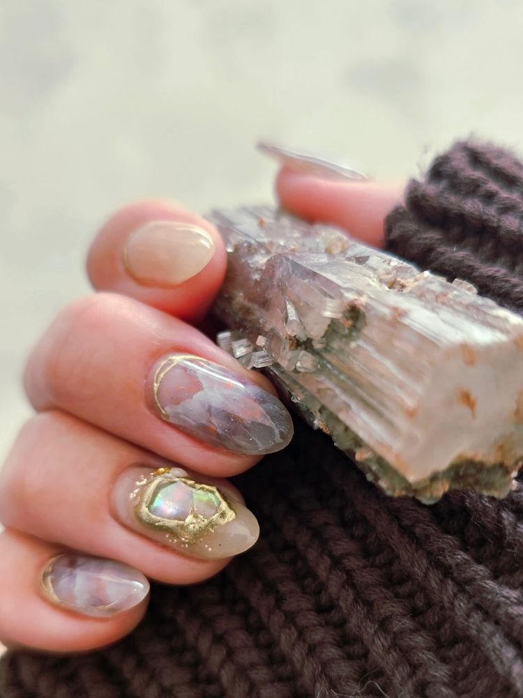 The checks and balances