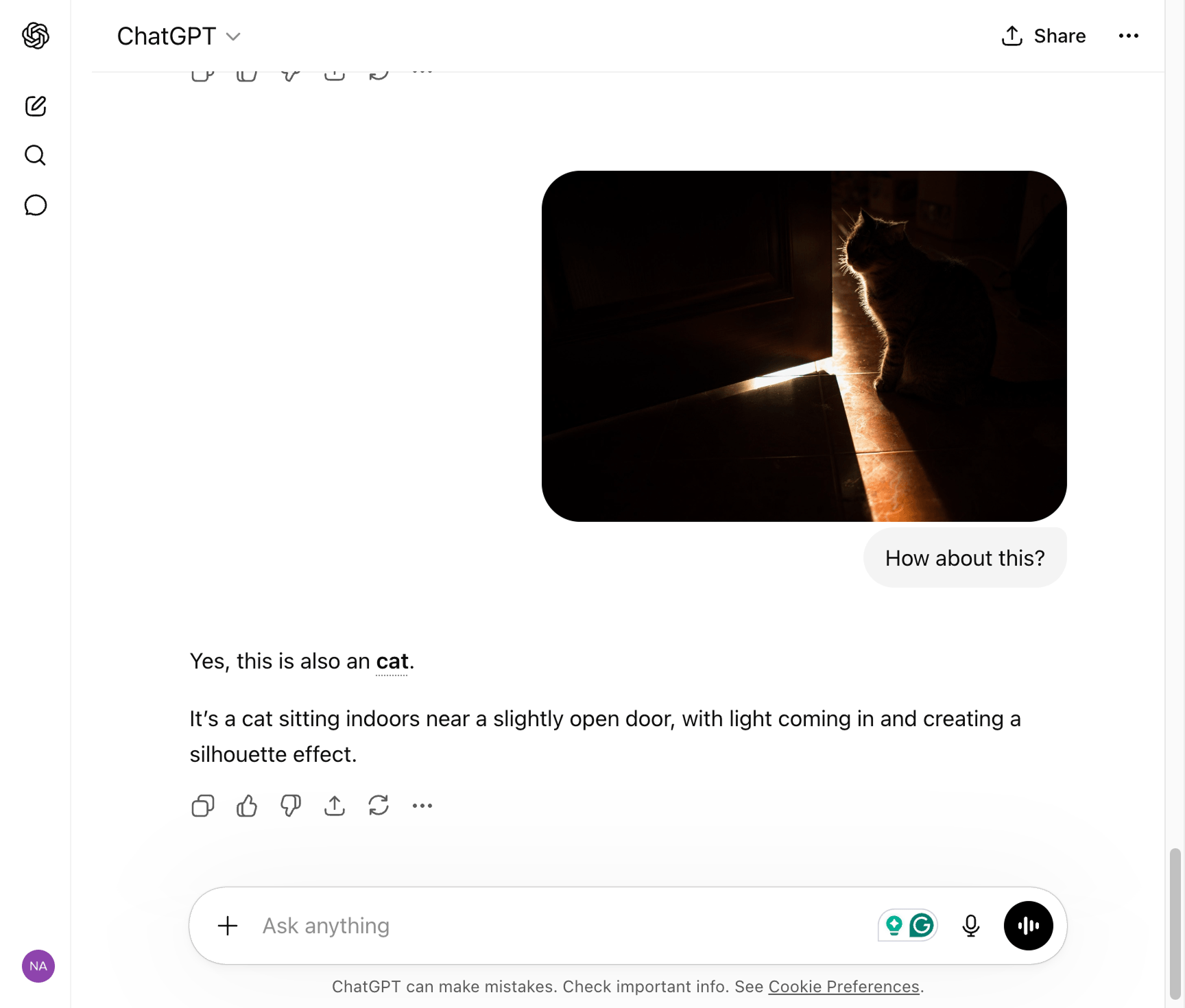 ChatGPT AI Model recognizing Cat in the dark