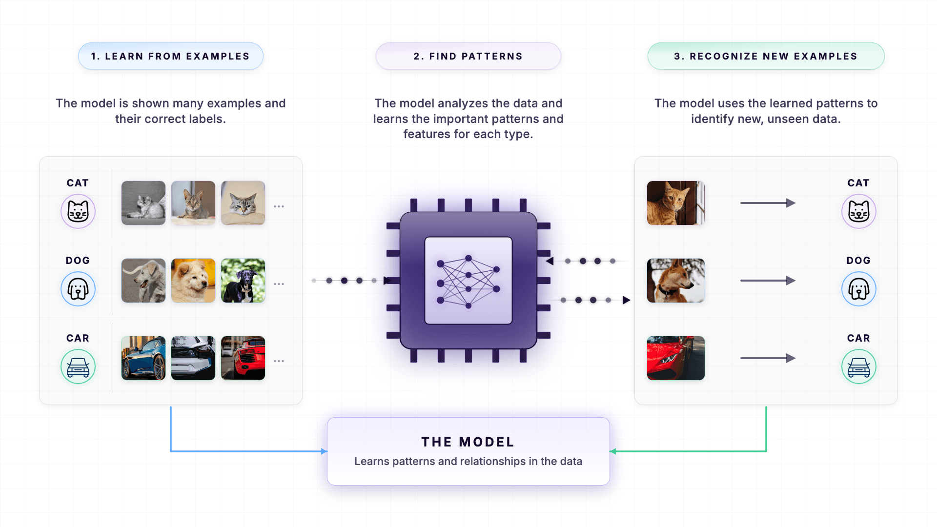 How AI learns patterns animals, humans, and objects