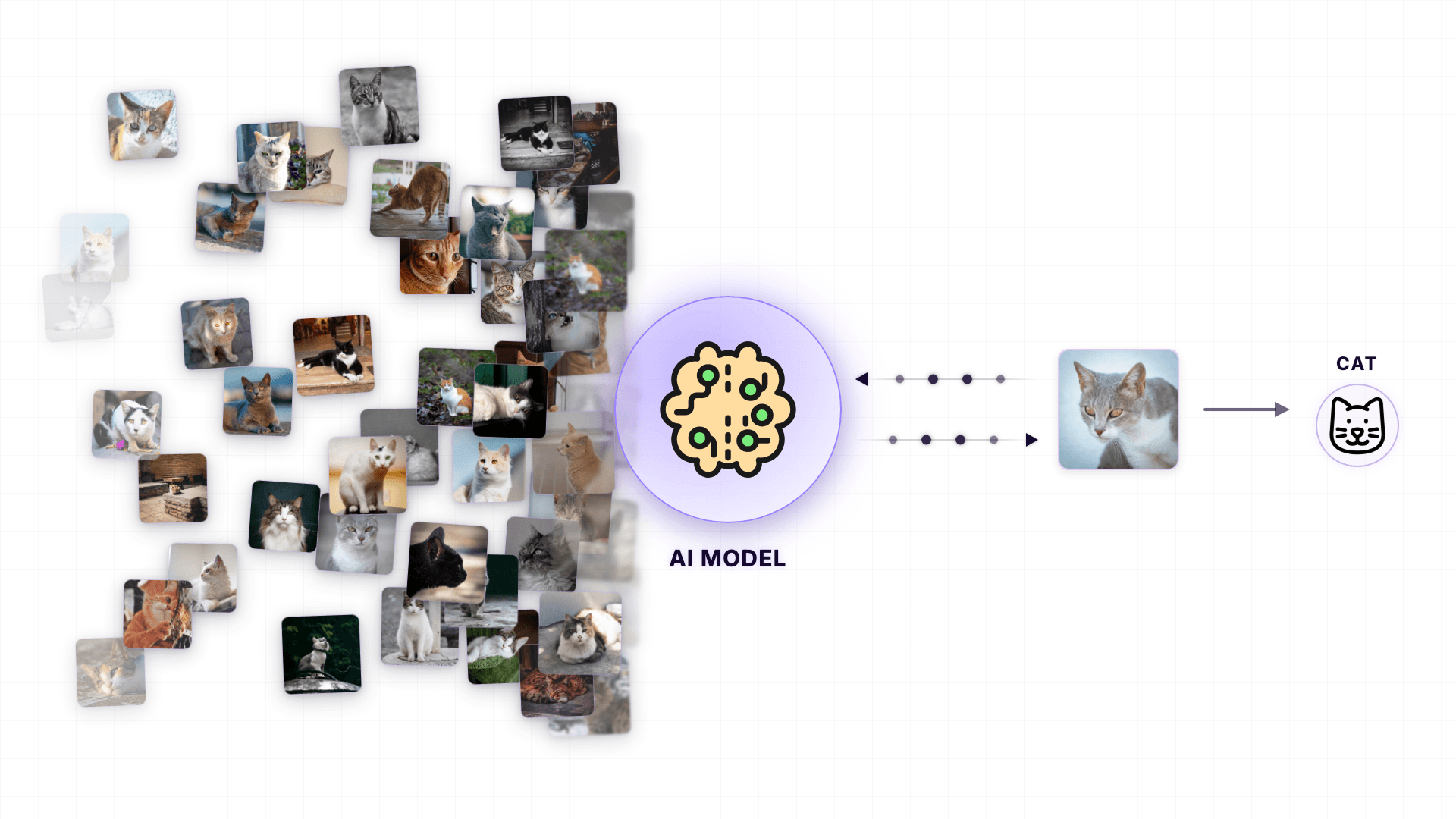 How AI can detect a cat picture