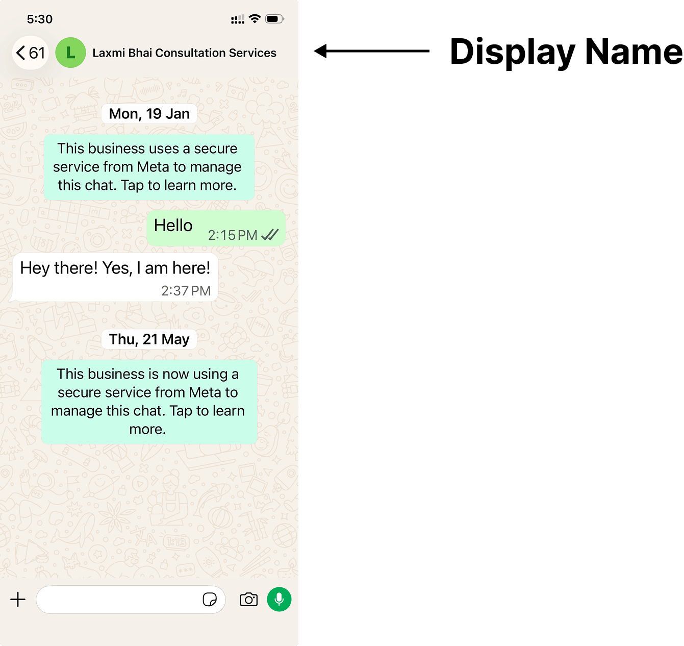 WhatsApp chat screenshot showing "Laxmi Bhai Consultation Services" as the business display name at the top of the conversation, with an arrow labeled "Display Name" pointing to it.