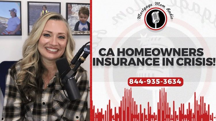 California Homeowners Insurance Crisis: What To Do If Your Policy Is Dropped