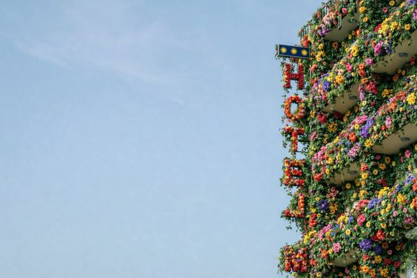 How to Create a Digital Loyalty Card for Your Hotel or Resort (Google & Apple Wallet)