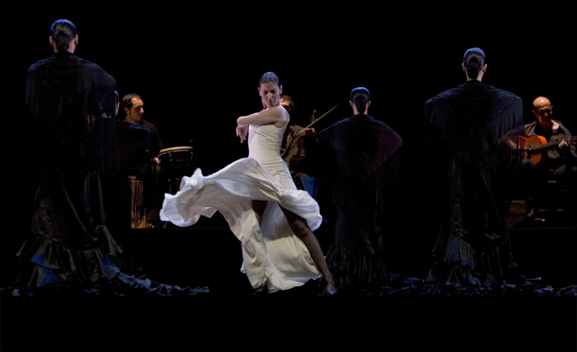 Flamenco Speaks