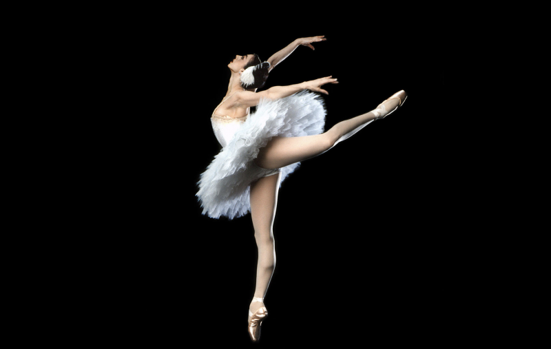 Swan Song