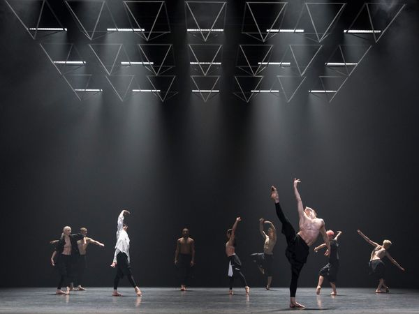 Searching for Meaning and Dance in the Genes