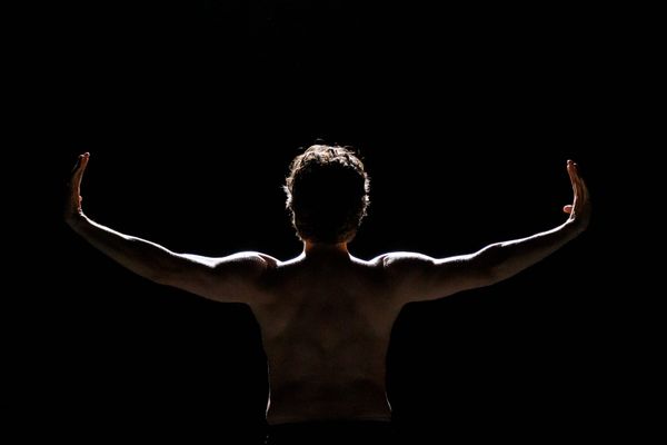 Bodies in Motion