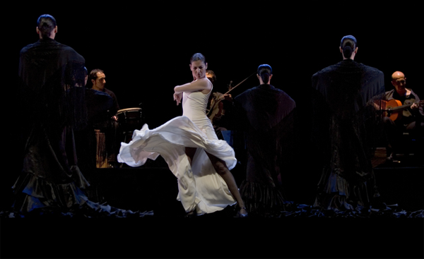 Flamenco Speaks