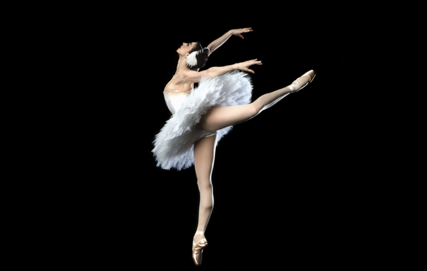 Swan Song