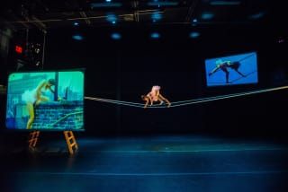 Trisha Brown at BAM