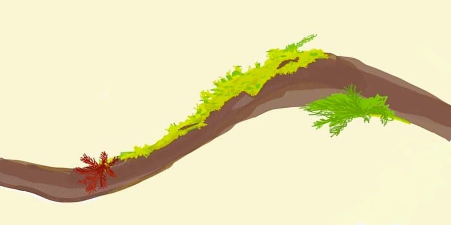 illustration, sea grass collects on a undersea cable