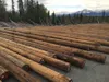 Government Peak Recreation Area