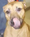 Bet you can't do this