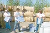 TODD L. DISHER/Frontiersman United Way of Mat-Su executive
director Stephanie Allen, right, and two other volunteers help
break boxes as part of the Day of Caring.