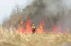 ROBERT DeBERRY/Frontiersman file photo An Alaska Division of
Forestry firefighter stands watch over a wall of flames during a
controlled burn on the Breeden Farm in Wasilla last year. Fire
se
