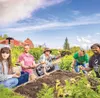 With Alaska’s short growing season ahead, local experts are- offering a series of classes that address a wide range of farming and gardening interests. Courtesy of UAF Cooperative Extension