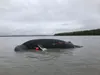 A NOAA Fisheries crew from Joint Base Elmendorf-Richardson collected skin and blubber samples Monday and placed an orange buoy on a dead male humpback whale that has been floating in Knik Arm