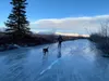 A skater visits the hay flats. (Photo courtesy of Great Land Trust/Elizabeth Knapp)