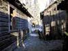 The Denali Dry Goods and Denali Zip Lines Tour buildings burned early Thursday morning. Also destroyed in the Talkeetna blaze was the My Little Dumpling café, a semi-permanent food trailer. T