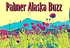 Palmer Buzz