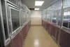 ROBERT DeBERRY/Frontiersman New kennels at the Mat-Su Borough
Animal Shelter.