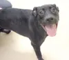 Needs a home