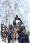 (ROBERT DeBERRY/Frontiersman) Lance Mackey crests a hill during
Sunday's Iditarod Trail Sled Dog Race restart in Willow.