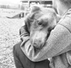 MSB Animal Control released a statement on the surviving dog, Woody, saying that he is currently in their care and receiving veterinary support, including a carefully managed refeeding progra