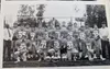 Palmer football