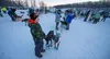 Moses Labrecque, of Talkeetna, holds a team while they wait to start their race. J. David McChesney/Frontiersman