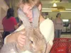 GREG JOHNSON/Frontiersman Cheryl Dunphy, 11, cuddles with Eoli,
a 19-pound Flemish giant rabbit Sunday at the Alaska Rabbit and
Cavy Breeders Club show at Pet Zoo in Wasilla. Eoli, a grand
ch