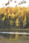 (ROBERT DeBERRY/Frontiersman) Robert DeBerry