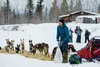 Jessie Holmes at Nikolai in the 2022 Iditarod. Courtesy of David Poyzer/Iditarod