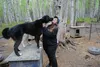 Raven Vinter set up Sled Dog Sanctuary with the goal of providing a safe haven for neglected sled dogs and a chance “to start a new life.” Sean Maguire