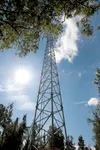 A cellular phone tower rises above the trees near the Matanuska-Susitna College in this August 2012 file photo. The Mat-Su Borough Assembly decided on Tuesday to do away with the current tall