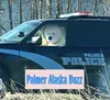 Palmer Buzz