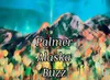 Palmer Buzz