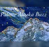 Palmer Buzz