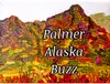 Palmer Buzz