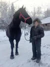 Jon Nauman with his Percheron draft horse, Jack, at the Carriage Wheel Ranch. Nauman’s Horse Drawn Carriage Company has been in operation in Birchwood since 1983. (Mary Lockman/The Eagle)