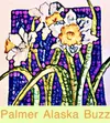 Palmer Buzz