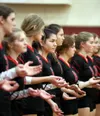 The Houston Hawks have qualified for the 3A state volleyball tournament. Bruce Eggleston/matsusports.net