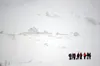 A handful of people participate in avalanche training in Hatcher Pass. Courtesy of Heidi Wipple