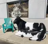 Stan, Country Cutts proprietor and favorite Palmer fireworks guy, brought up a cow up to reside in Palmer’s downtown green pasture and be a resting place for visitors and a selfie spot. A nam