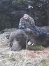 Alaska bear hunting guide James Eicher helped his client to his 9-foot-9 brown bear on Afognak Island during an archery spot-and stalk hunt. Eicher has guided for bears across the state and p