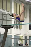 Palmer's Chloe Hartman earned a state title in the diving event during the ASAA/First National Bank State Swimming and Diving Championships. Tim Rockey/For the Frontiersman