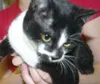 Wants a home