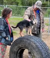 Baxter, pictured atop one of the agility tires, took to the new Houston dog park during its grand opening on Saturday. Katie Stavick/Frontiersman