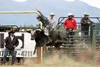 A Rodeo Alaska rider puts his skills to the test on a bucking bull. Courtesy photo.